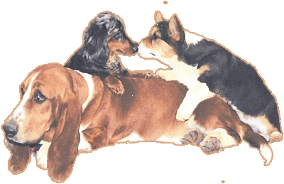 Candlelight Companions Logo